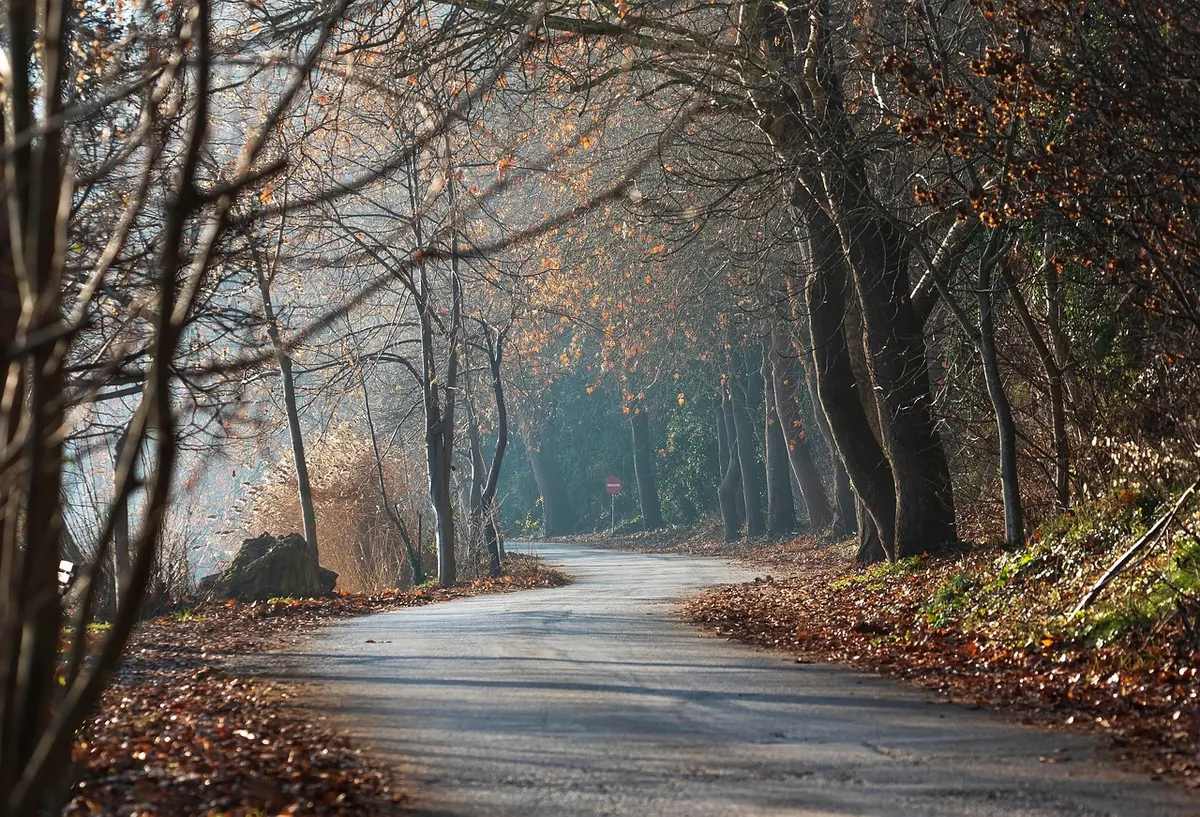 A Beginner's Guide to British Folklore Creatures: Brownies, Boggarts and Beyond