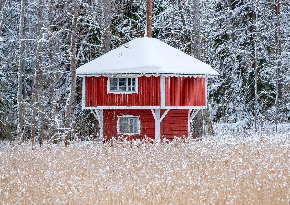 Seasonal Storytelling: 8 Winter Tales for Long Dark Evenings